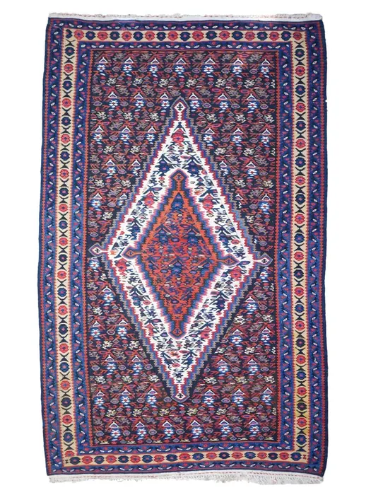 Senah Kilim (Flat Woven) Rug with 2 Identical Sides
